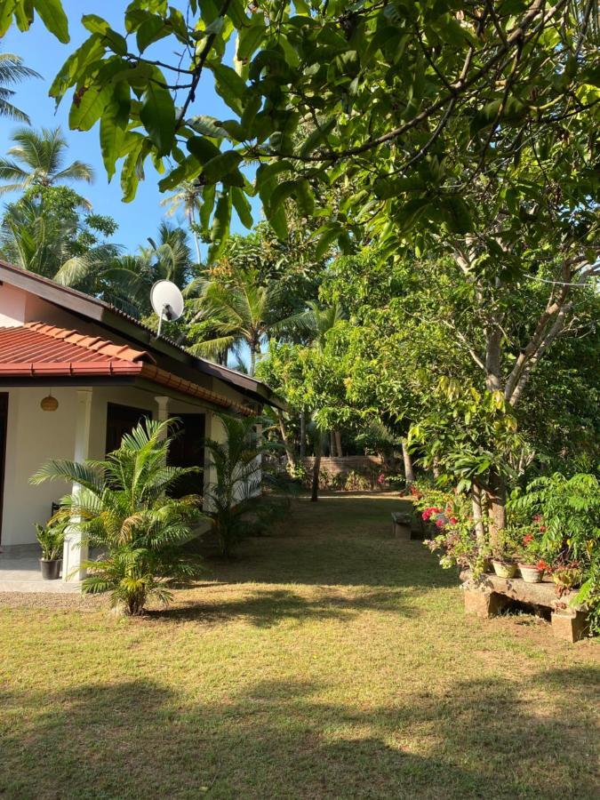 Mango Villa Хіккадува Екстер'єр фото
