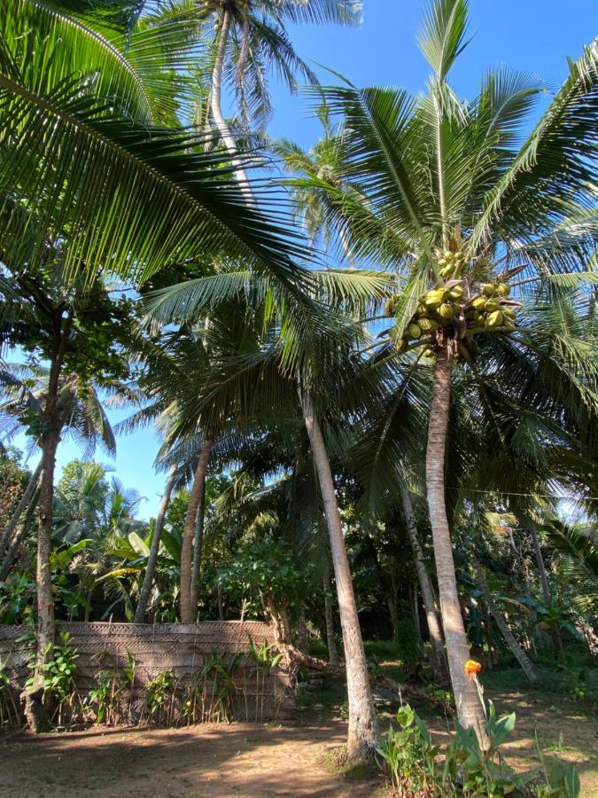 Mango Villa Хіккадува Екстер'єр фото